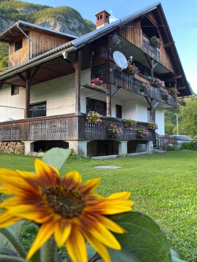Apartment V&N, Lake Bohinj Luaran gambar